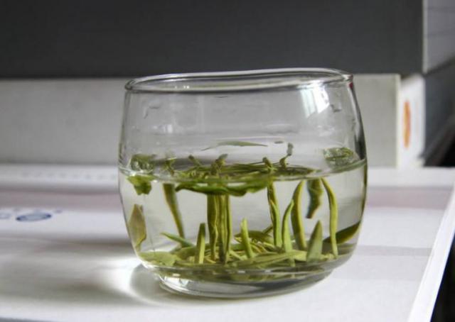 常喝绿茶能减肥吗（常喝绿茶能减肥吗?）
